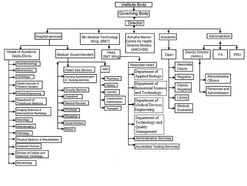 organisational_structure